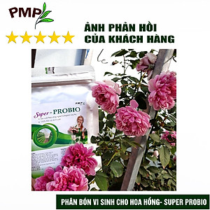Combo Phân Hữu Cơ Cao Cấp Super Probio & Giá Thể Bã Mía Cho Hoa Hồng, Rau Sạch, Cây Cảnh