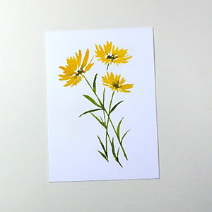 Giấy vẽ màu nước A5 giấy cao cấp có vân đẹp màu trắng sang, dòng giấy chuyên dụng chất giấy dày định lượng 260gsm nhập từ Ý 15 tờ TI599 Green Art- Hàng chính hãng