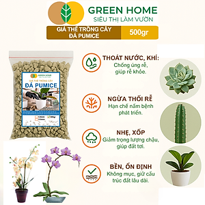 Đá Pumice Greenhome, Bao 500gr, Đất Trồng Sen Đá, Giá Thể Trồng Cây, Lót Chậu, Nhiều Khoáng Chất, Thoát Nước Tốt