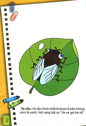 Sách Bé Tô Màu (2-6+) - Những Con Côn Trùng Bé Nhỏ - Tập 2