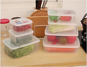 Combo 02 hộp nhựa cao cấp bảo quản thực phẩm Nakaya hình chữ nhật - Nội địa Nhật Bản