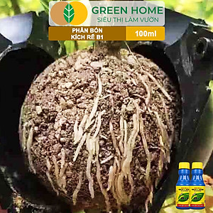Phân Bón Kích Rễ, Greenhome, B1, Chai 100ml, Tạo Mầm, Rễ Khoẻ, Sai Hoa, Phục Hồi Rễ Yếu, Lá Dày