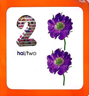 Từ Điển Hình Ảnh Cho Bé: Số Đếm (Tái Bản 2019)