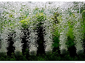 Máy sục sủi thổi khí oxy hồ bể cá cảnh 25W - 45L/P chất lượng cao,công suất mạnh, tiết kiệm điện