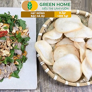Hạt Giống Bạc Hà Âu Greenhome, Gói 0,1gr, Húng Lũi Dễ Trồng Quanh Năm, Nảy Mầm Cao, Thu Hoạch Nhanh, Năng Suất Cao G02