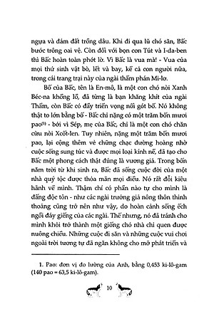 Sách Tiếng Gọi Của Hoang Dã