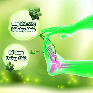 Thực phẩm chức năng Viên uống Dưỡng khớp Bảo Nguyên 30 viên