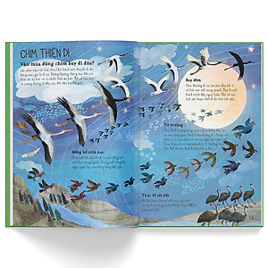 Sách A Lê Hấp! Thế Giới Chim