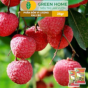 Phân Bón Kali Bo Greenhome, Gói 25g, Kích Thích Ra Hoa, Giảm Rụng Trại Non, Nuôi Quả To, Chắc Ruột, Tăng Độ Ngọt
