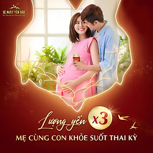[TOP SALE] TỔ YẾN CHƯNG ĐƯỜNG PHÈN 100% Tổ Yến Thật (Hàm Lượng 30%) (6 Lọ X 70ML) - Đệ Nhất Yến Đảo - Tăng Sức Đề Kháng - Kích Thích Tiêu Hóa - An Thần - Bổ Phế - Long Đờm - Giảm Ho - Tăng Cường Trí Nhớ - Kéo Dài Thanh Xuân