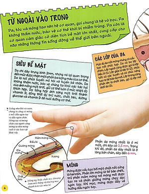 Sách Tìm Hiểu Về: Cơ Thể Người