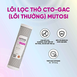 Lõi lọc nước Mutosi Số 2/3 - Tích hợp PP1 và CTO