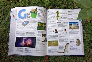 Sách Childrens Picture Dictionary - Từ Điển Tranh Dành Cho Trẻ Em