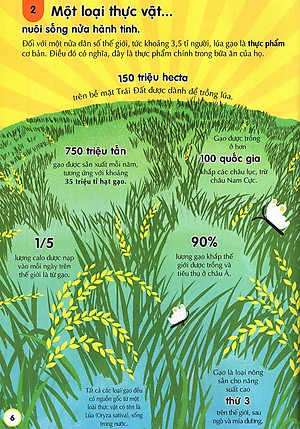 Sách 100 Bí Ẩn Đáng Kinh Ngạc Về Thức Ăn (USBORNE - 100 Things To Know About Food)