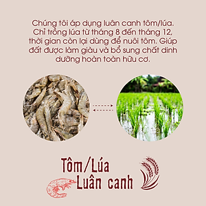 Gạo lứt đỏ hữu cơ cao cấp - ECOBA Huyết Rồng 1kg - Cơm mềm dễ ăn - Gạo lứt ăn kiêng
