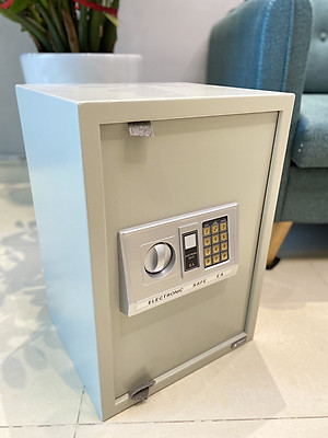 Két sắt điện tử Treny 50EA-DS 17kg có khe phía trước - 3 răng - màu kem