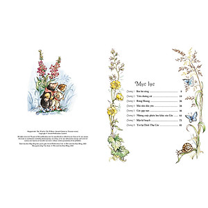 Sách Gió Vờn Trong Liễu