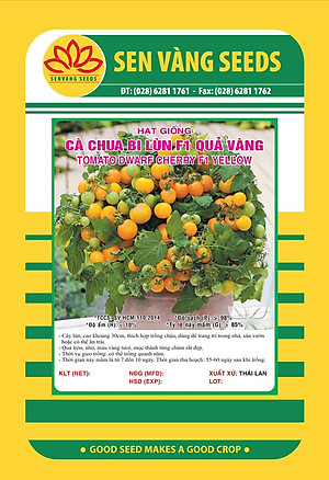Hạt giống cà chua Bi Lùn Vàng F1 VTS136