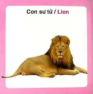 Từ Điển Hình Ảnh Cho Bé - Động Vật Hoang Dã