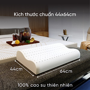 Gối Cao Su Kim Cương Siny A KCGD4464 (44 x 64 cm) - Trắng