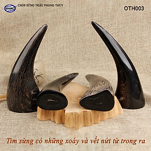 Chóp sừng trâu vật phẩm phong thủy (OTH003) HOT nhất của năm trâu vàng 2021 - giàu sang - phú quý