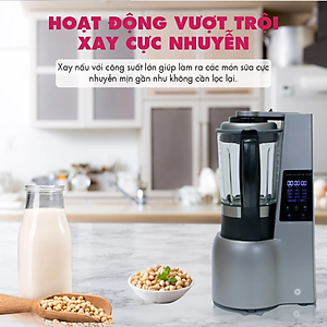 Máy xay sinh tố công suất lớn 800W Mishio - Hàng chính hãng