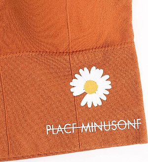 Áo Bra Hoa Cúc Họa Mi Thun Gân Hottrend Cá Tính