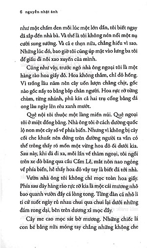 Đi Qua Hoa Cúc (Tái Bản 2022)