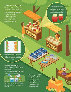 Đột Phá Tư Duy Khoa Học Tự Nhiên 8 Tập 1 - Bản Quyền