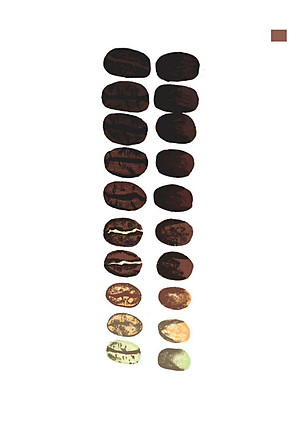 Từ Điển Cà Phê - Cà Phê Từ A Đến Z - Bìa Cứng