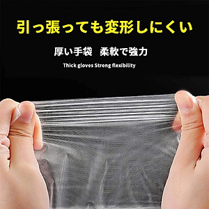 Set 100 or150 găng tay nilon dùng một lần Seiwa Pro Extra Free size - Hàng nội địa Nhật Bản