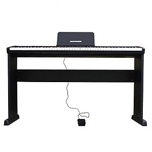Bộ Đàn Piano Điện Bora BX-II - 88 Phím nặng Cảm ứng lực BX-02 - Midi Keyboard Controllers BX2 - Kèm Chân Gỗ, Giá Để Bản Nhạc, Móng Gẩy DreamMaker (Kết nối máy tính và điện thoại, Bluetooth, Pin sạc, Loa lớn)