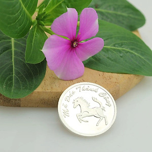 Đồng Xu Cạo Gió Đánh Cảm  Bạc Ta Nguyên Chất S99 Mã Đáo Thành Công Loại Nhỏ Đường Kính 2,3cm BẠC HIỂU MINH XDG4