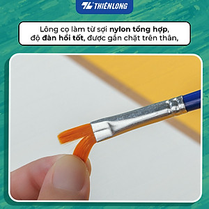 Túi 10 Cọ vẽ Tròn Thiên Long Colokit BRW-C02