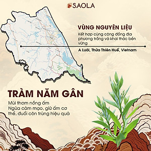 Cao Tràm Sao la 11g - Melaleuca Essential oil Balm: Giúp làm ấm cơ thể, giảm triệu chứng côn trùng đốt, giảm đau đầu, nghẹt mũi ở bé. Sản phẩm từ thiên nhiên - Hàng Chính Hãng