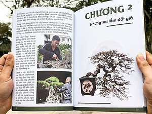 Sách Bonsai Làm chủ tư duy Định hình tác phẩm 