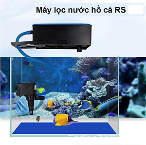 Máy Lọc Bể Cá RS 188: Sạch cặn, thổi luòng, tạo oxy cho hồ 40-70cm, 800L/H