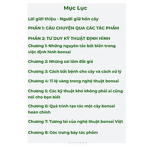Sách Bonsai Làm chủ tư duy Định hình tác phẩm 