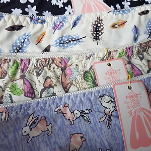 Combo 5 chiếc quần lót nữ thun lạnh chất vải co giãn 4 chiều điều hòa cực thông thoáng họa tiết 3D trẻ trung