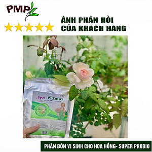 Combo Phân Hữu Cơ Cao Cấp Super Probio & Giá Thể Bã Mía Cho Hoa Hồng, Rau Sạch, Cây Cảnh