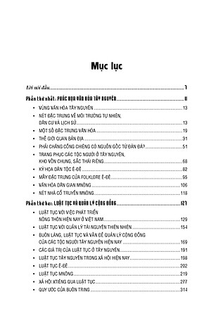 Những Mảng Màu Văn Hóa Tây Nguyên - GS.TS. Ngô Đức Thịnh
