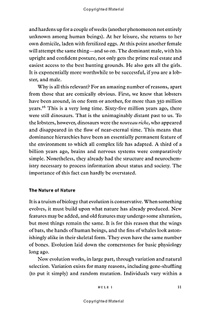 Sách 12 Rules For Life: An Antidote To Chaos