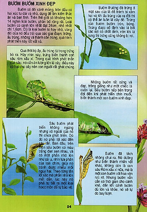 Sách Thế Giới Động Vật Kì Thú - Vườn Côn Trùng