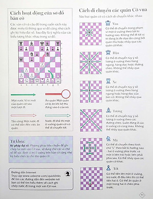 Cờ Vua - Những Bước Đi Đầu Của Kiện Tướng (2022)