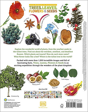 Trees, Leaves, Flowers And Seeds: A Visual Encyclopedia Of The Plant Kingdom