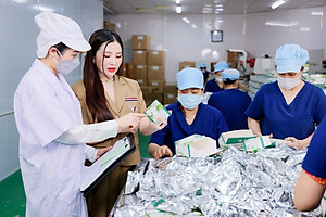 Giá Sỉ 10 Hộp Trà Lá Ổi Mychi Giam Cân Tan Mỡ Ngừa mỡ máu tiểu đường