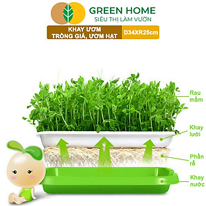 Khay Trồng Rau Greenhome, D34xR25xC5cm, Nhựa Nguyên Sinh, An Toàn, Chuyên Trồng Giá, Rau Mầm Tại Nhà, Không Cần Đất