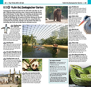 Sách Cẩm Nang Du Lịch - Top 10 Berlin