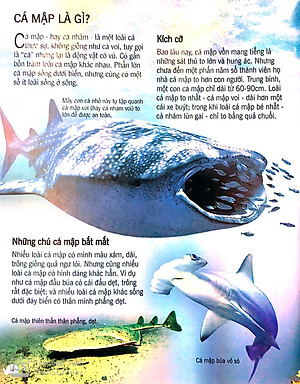 Sách Bách Khoa Tri Thức Về Khám Phá Thế Giới Cho Trẻ Em - Cá Mập (Tái Bản 2018)