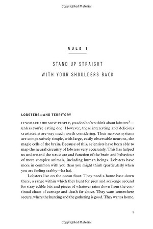 12 Rules for Life: An Antidote to Chaos